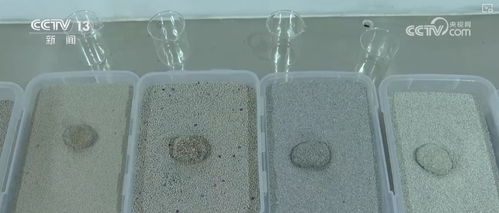 寵物友好理念撬動特色產業(yè) 從礦物洗選到特產出海的生態(tài)鏈革新
